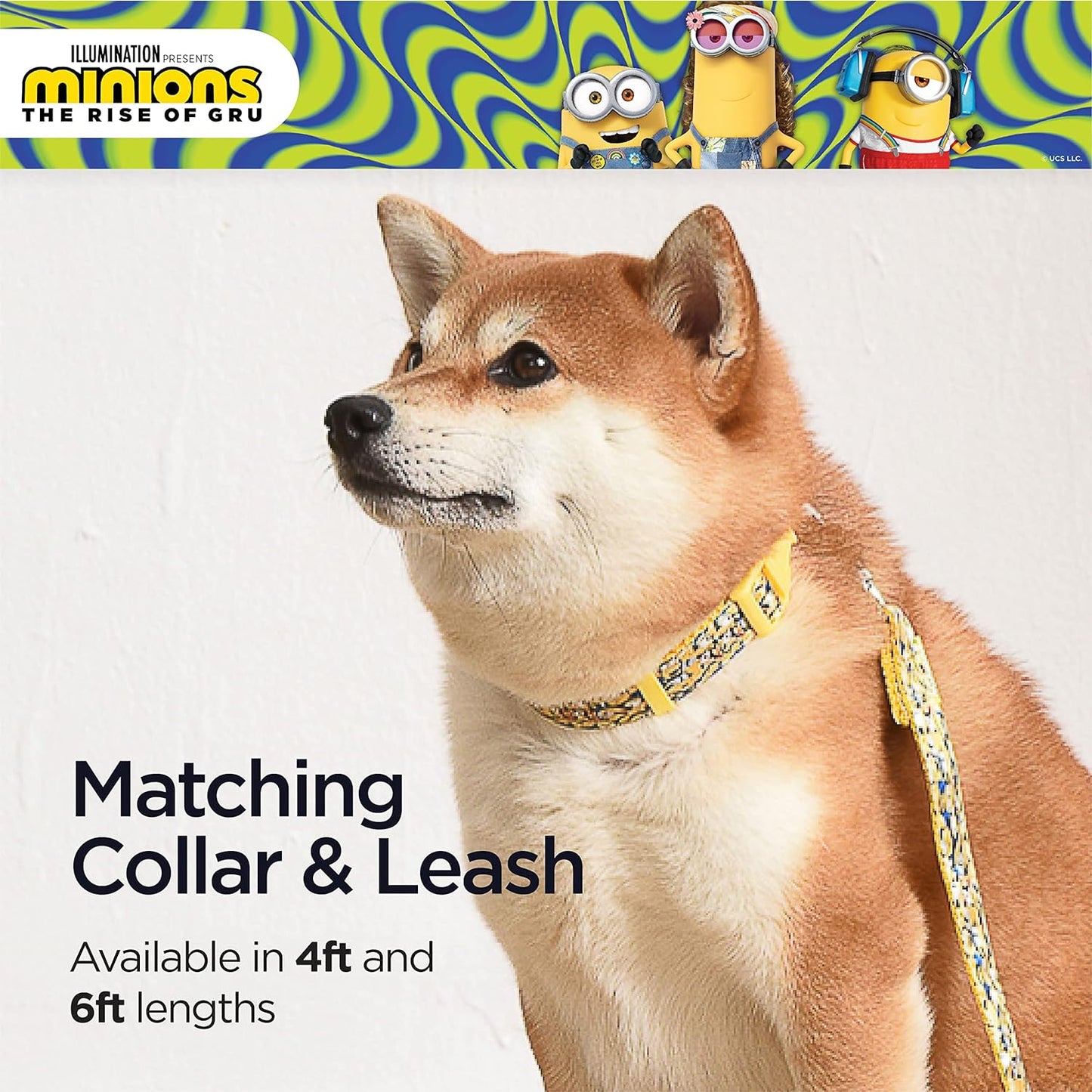 Dog Leash, 4Ft (48In) Blue and Yellow More than a Minion| Gifts for Fans and Their Pets | Officially Licensed Pet Product from Universal Studios| Gifts for Fans and Their Pets