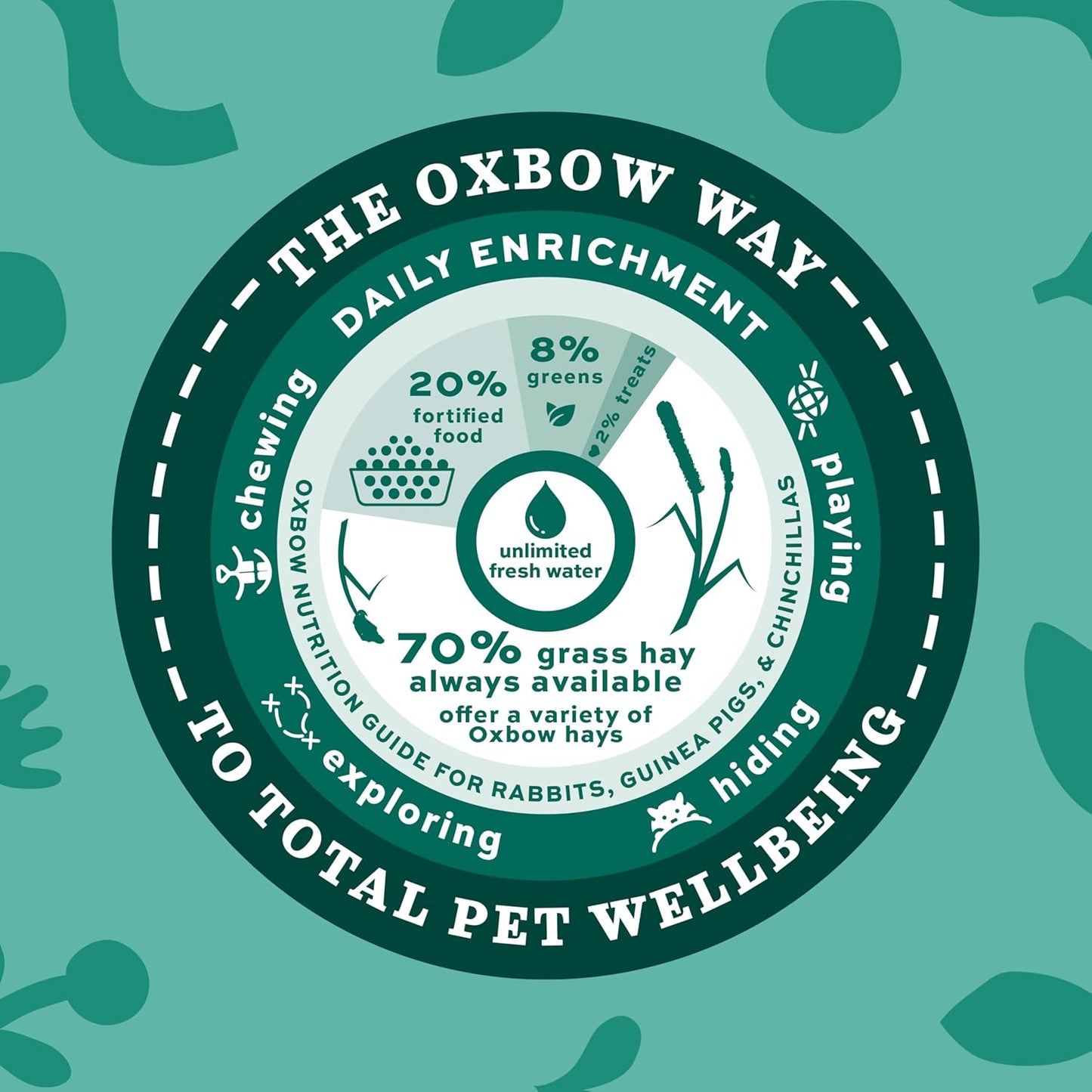 Animal Health Western Timothy Hay, Guinea Pig Hay, Small Pet Bunny Supplies, All Natural Grass for Guinea Pig, Bunny, Chinchilla & Hamster,  Rabbit Supplies for Bunnies, 9 Lb Box